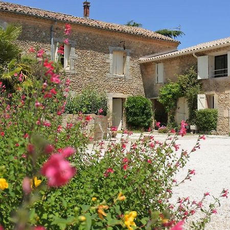 Gite Du Domaine Saint Jean De L'Arbousier Castries Zewnętrze zdjęcie