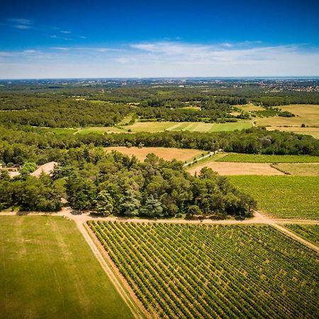 Gite Du Domaine Saint Jean De L'Arbousier Castries Zewnętrze zdjęcie