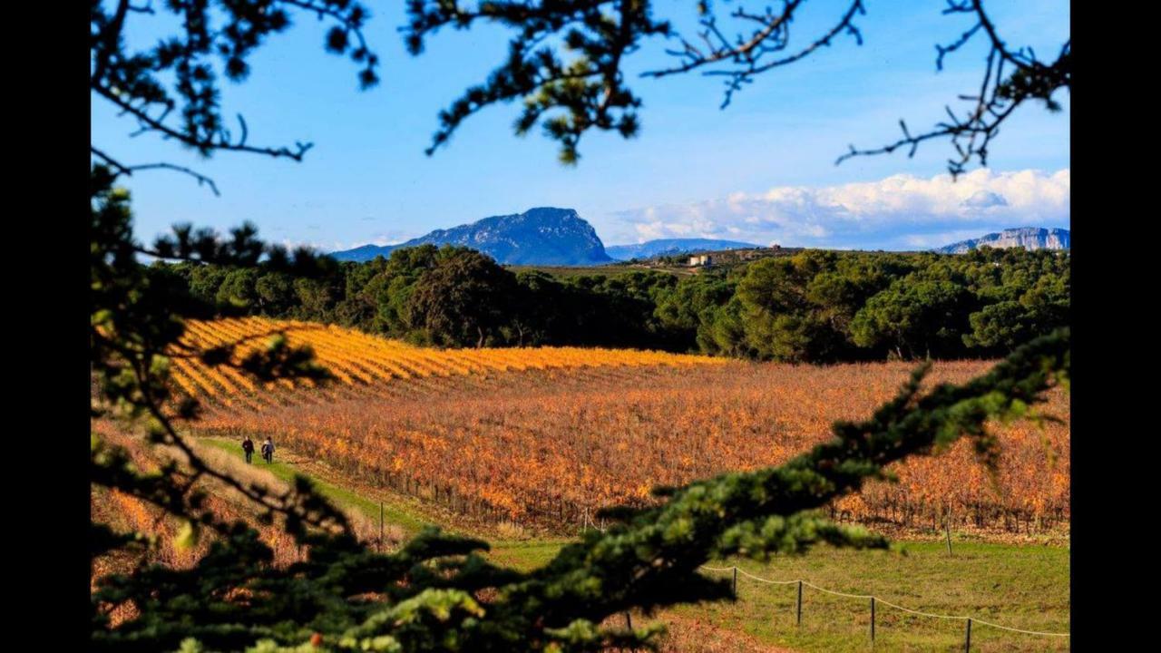 Gite Du Domaine Saint Jean De L'Arbousier Castries Zewnętrze zdjęcie
